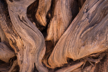 Wood texture of brown color.
