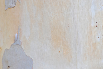 木目模様・木肌