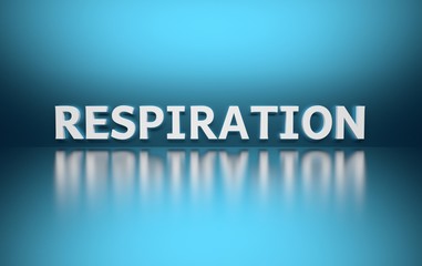 Word Respiration written in bold white letters on blue reflective background. 3d illustration.