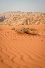 Walking and hiking tours in the Wadi Rum desert, Jordan