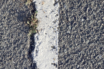 背景・素材用アスファルトと白線