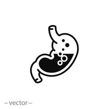 Digestive System Icon, Stomach, Digestion, Balance Gastric Acid, Thin Line Web Symbol On White Background - Editable Stroke Vector Illustration Eps 10