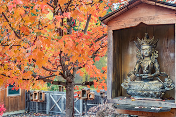 Buddha statue. Green Tara in wooden enclosure with autumn scene and red orange maple tree - obrazy, fototapety, plakaty