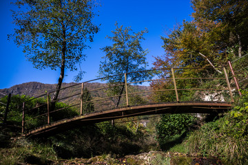 Narrow wooden bridge in a forest with mountain and blue sky in the background