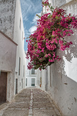 Fototapeta na wymiar Traditional street of Vejer de la Frontera, a beautiful tourist town in the province of Cadiz, in Andalusia, in southern Spain