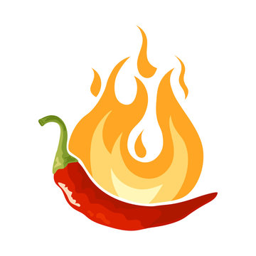 Chili pepper icon in flat style, vector
