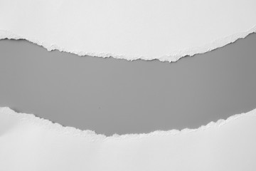white torn paper on gray background. collection paper rip