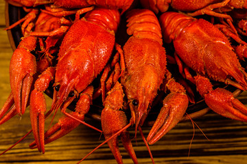 Plate with boiled crayfishes on wooden table