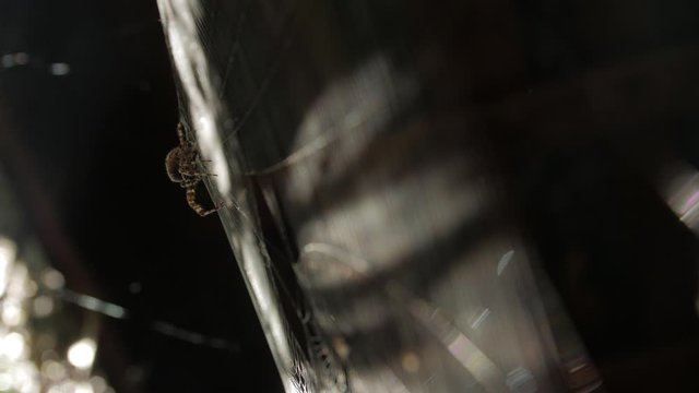 Spider web and sun rays in old wooden barn lumber room pantry brown sunbeam glare background truck camera movement