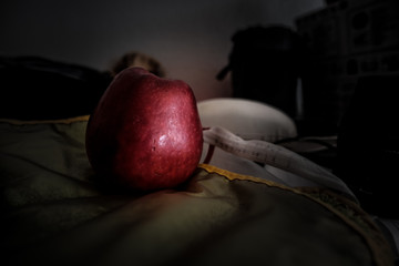 Red apple over green piece of cloth composing still life image
