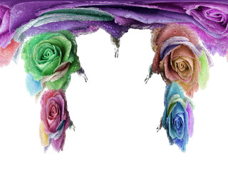 colorful flowers wall design write text for print