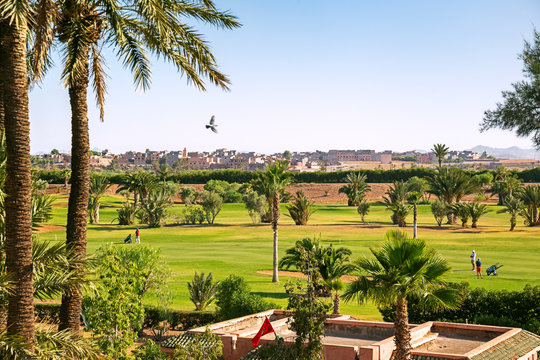 View of Marrakech from a golf resort with green fields and palms in Morocco