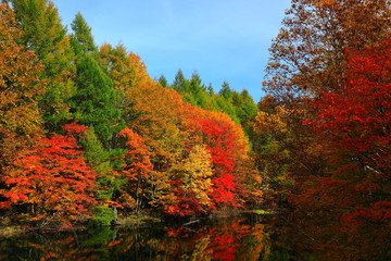 紅葉の八幡平