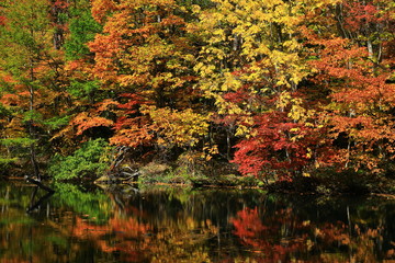 紅葉の八幡平