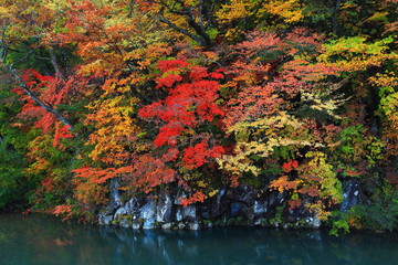 紅葉の法体の滝