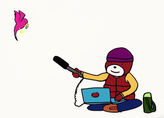 a bear recording Bird's Twitter