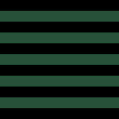 Obraz premium Pattern green and black horizontal strips