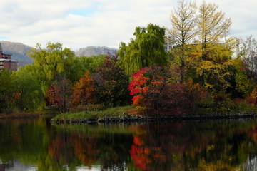 Fototapeta premium 池と紅葉