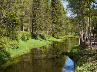 Fototapeta premium River in spring park