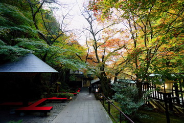 紅葉美しい庭園で一休みできる休憩所