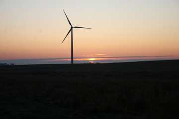 Obraz premium Sunrise and Windmill 2019