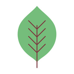 natural leaf foliage autumn on white background