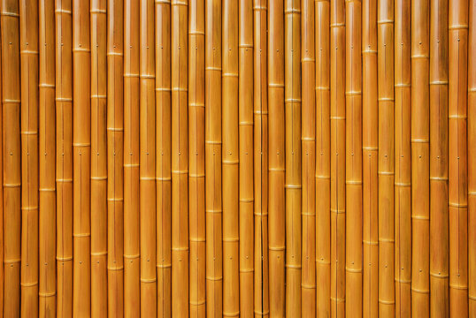 Wall Made Of Natural Bamboo Stems