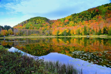 lake, utumn,fall,seasona, reflection, lake, colorful, leaves, forest, leaf, shape, season.