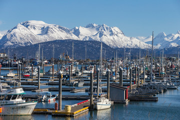 Beautiful Harbor in Homer Alaska