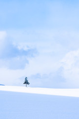 Fototapeta na wymiar Beautiful outdoor nature landscape with christmas tree in winter snow season