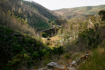 A Mountain View in Mata da Margaraca