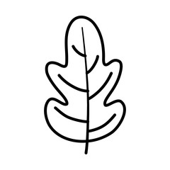 autumn leaf nature foliage on white background thick line