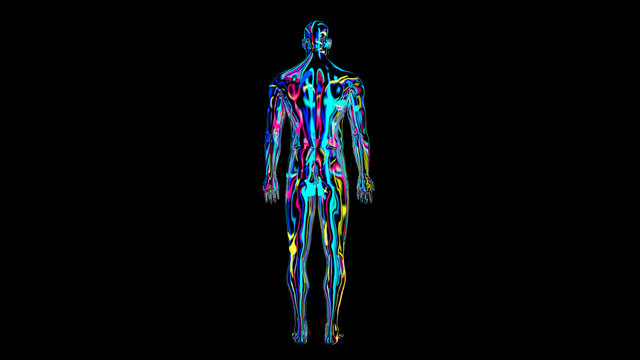 x-ray humain body colorful, humain body scan