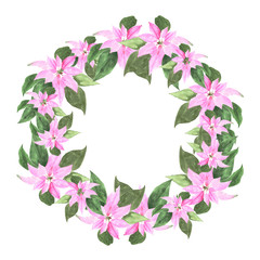 Christmas wreath with poinsettia plant. Hand-drawn watercolor botanical illustration. Realistic isolated object on a white background for your design