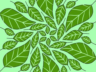 neatly arranged green leaves. suitable for wallpaper