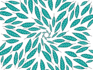 Fototapeta premium elongated light blue leaves. artistic arrangement. for wallpaper