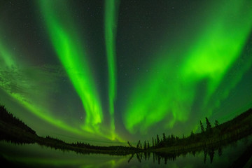 カナダ　イエローナイフ郊外のオーロラ　Aurora of Yellowknife, Canada