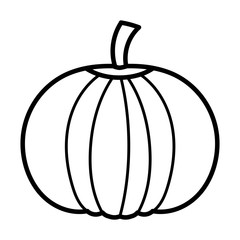 pumpkin vegetable fresh autumn on white background thick line