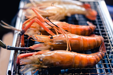 Close up group of fresh shrimps prawns grilling on rack charcoal stove. cooking seafood bbq party camping outdoor.