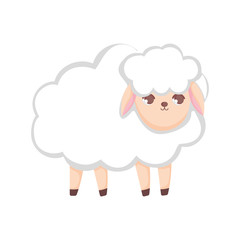 sheep animal cartoon on white background