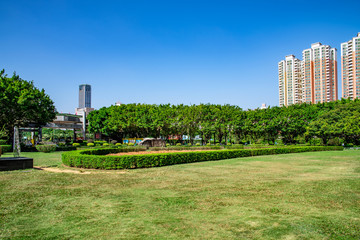 Fototapeta na wymiar Scenery of grassland and urban high-rise buildings in Humen Park, Dongguan City, Guangdong Province, China