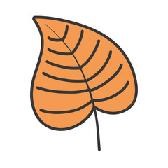 natural leaf foliage autumn on white background