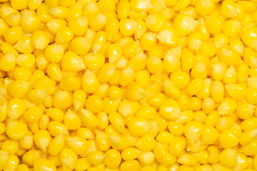 The yellow corn seed background.