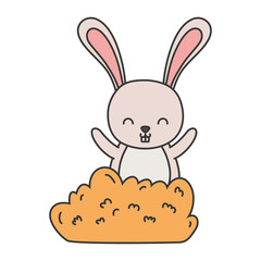 rabbit leaves bush forest foliage hello autumn