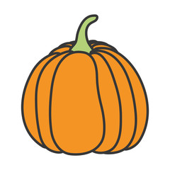 pumpkin vegetable fresh autumn on white background