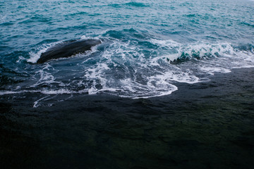 Naklejka premium Dark blue sea wave crashing near a rocky shore