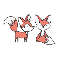 cute foxes cartoon animals on white background