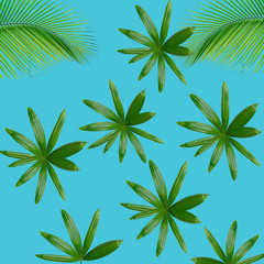 Green palm leaves pattern for nature concept,tropical leaf on blue background