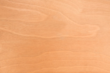 Fototapeta na wymiar Brown wood texture. Abstract wood texture background. 