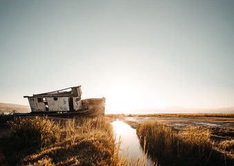 Old Shipwreck at the Beach in Point Reyes